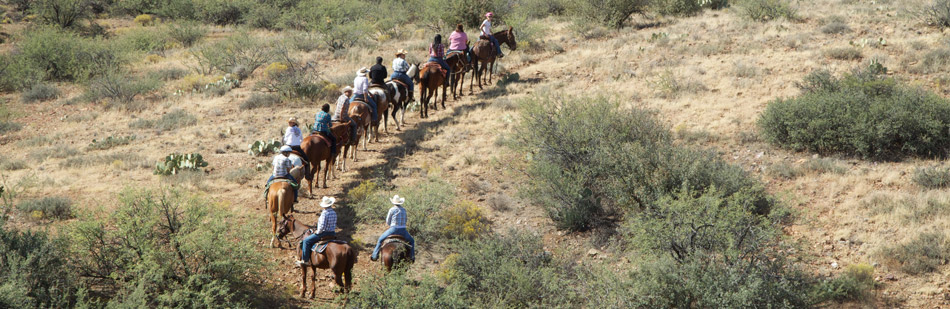 white tank stables header